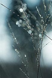 动作平台游戏《Replaced》再次跳票 2025年发售